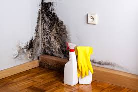 Best Air Quality Testing for Mold Spores in Ebensburg, PA